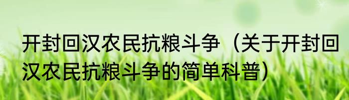 开封回汉农民抗粮斗争（关于开封回汉农民抗粮斗争的简单科普）