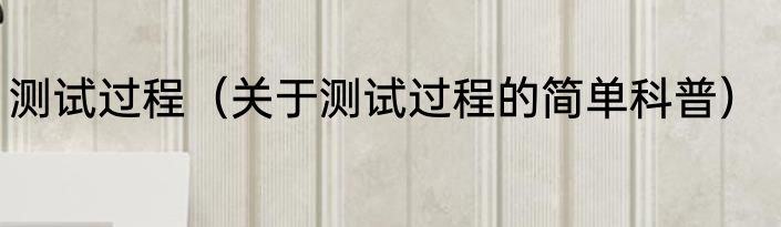 测试过程（关于测试过程的简单科普）