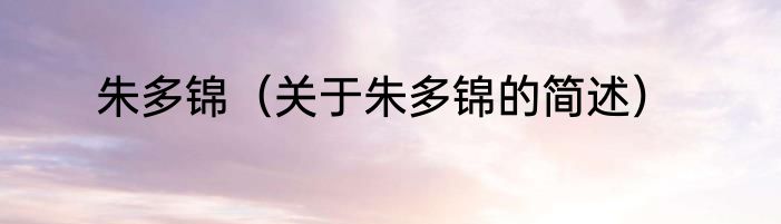 朱多锦（关于朱多锦的简述）