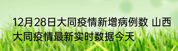 12月28日大同疫情新增病例数 山西大同疫情最新实时数据今天