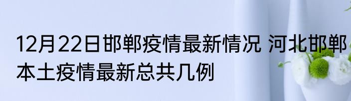 12月22日邯郸疫情最新情况 河北邯郸本土疫情最新总共几例