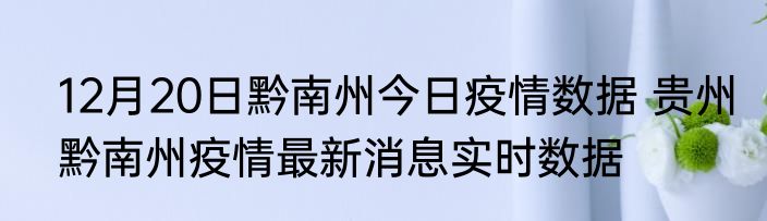 12月20日黔南州今日疫情数据 贵州黔南州疫情最新消息实时数据