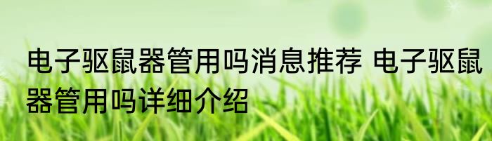 电子驱鼠器管用吗消息推荐 电子驱鼠器管用吗详细介绍