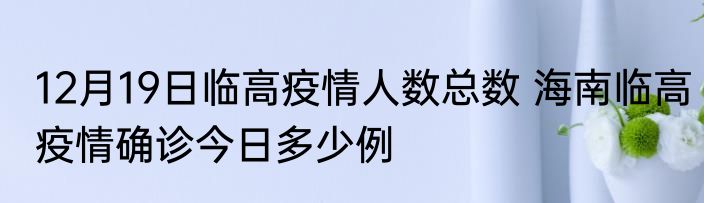 12月19日临高疫情人数总数 海南临高疫情确诊今日多少例