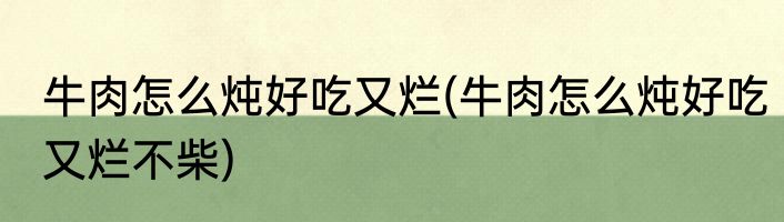 牛肉怎么炖好吃又烂(牛肉怎么炖好吃又烂不柴)