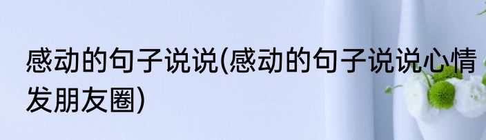感动的句子说说(感动的句子说说心情发朋友圈)