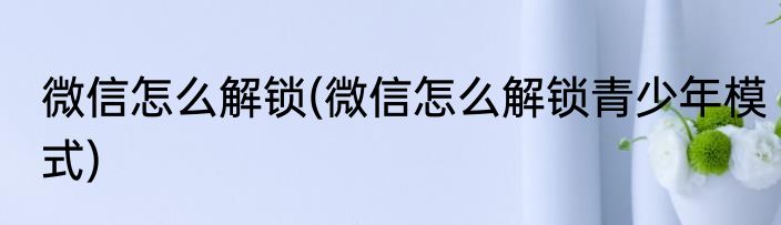 微信怎么解锁(微信怎么解锁青少年模式)