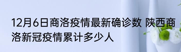 12月6日商洛疫情最新确诊数 陕西商洛新冠疫情累计多少人