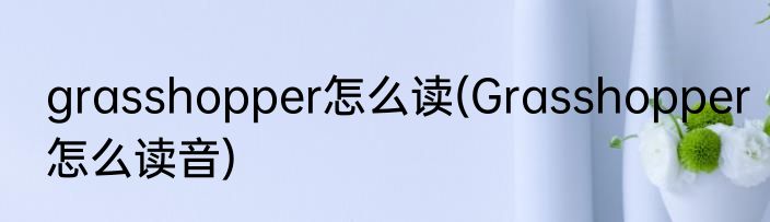 grasshopper怎么读(Grasshopper怎么读音)