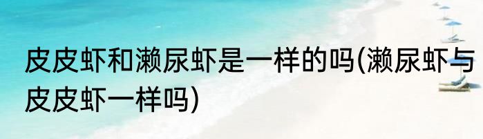 皮皮虾和濑尿虾是一样的吗(濑尿虾与皮皮虾一样吗)
