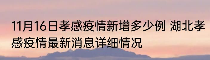 11月16日孝感疫情新增多少例 湖北孝感疫情最新消息详细情况