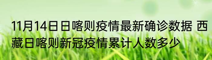11月14日日喀则疫情最新确诊数据 西藏日喀则新冠疫情累计人数多少
