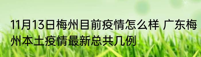 11月13日梅州目前疫情怎么样 广东梅州本土疫情最新总共几例