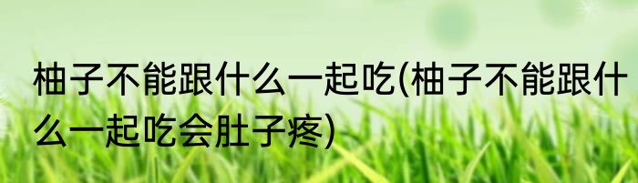 柚子不能跟什么一起吃(柚子不能跟什么一起吃会肚子疼)