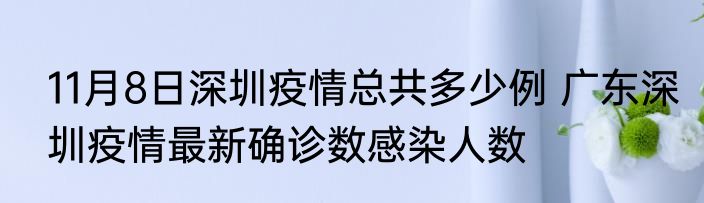 11月8日深圳疫情总共多少例 广东深圳疫情最新确诊数感染人数