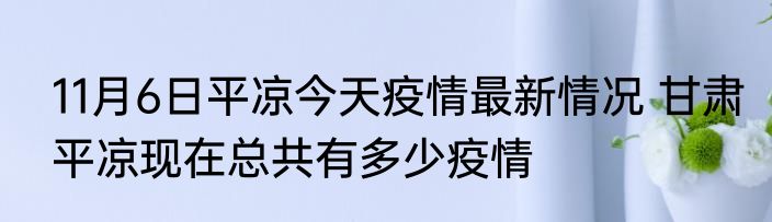 11月6日平凉今天疫情最新情况 甘肃平凉现在总共有多少疫情
