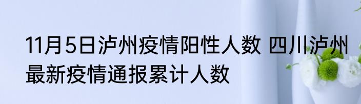 11月5日泸州疫情阳性人数 四川泸州最新疫情通报累计人数
