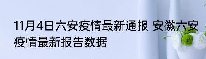 11月4日六安疫情最新通报 安徽六安疫情最新报告数据