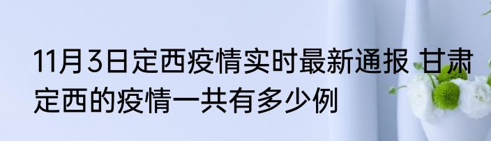 11月3日定西疫情实时最新通报 甘肃定西的疫情一共有多少例