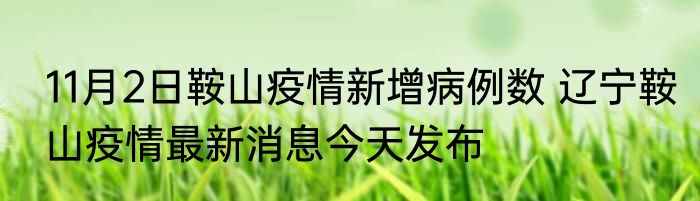 11月2日鞍山疫情新增病例数 辽宁鞍山疫情最新消息今天发布