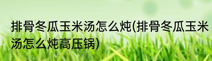 排骨冬瓜玉米汤怎么炖(排骨冬瓜玉米汤怎么炖高压锅)