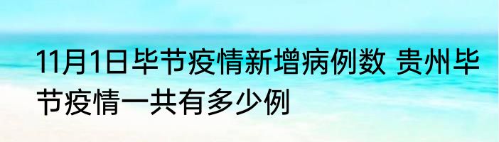11月1日毕节疫情新增病例数 贵州毕节疫情一共有多少例