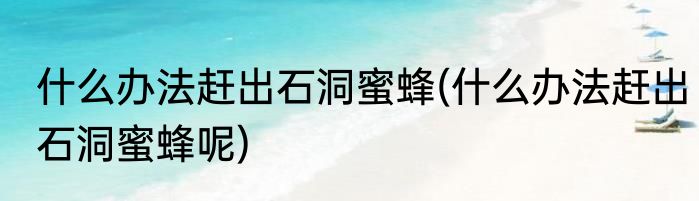 什么办法赶出石洞蜜蜂(什么办法赶出石洞蜜蜂呢)