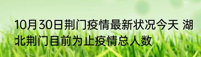 10月30日荆门疫情最新状况今天 湖北荆门目前为止疫情总人数