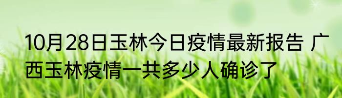 10月28日玉林今日疫情最新报告 广西玉林疫情一共多少人确诊了