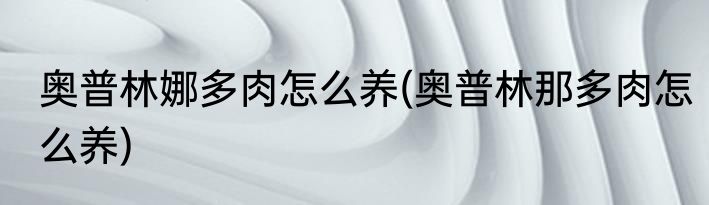 奥普林娜多肉怎么养(奥普林那多肉怎么养)