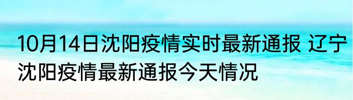10月14日沈阳疫情实时最新通报 辽宁沈阳疫情最新通报今天情况