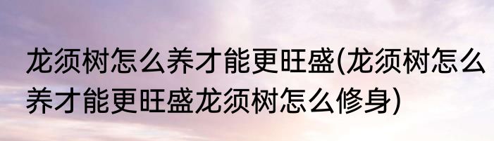 龙须树怎么养才能更旺盛(龙须树怎么养才能更旺盛龙须树怎么修身)