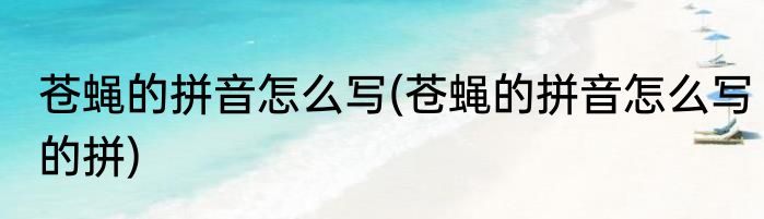 苍蝇的拼音怎么写(苍蝇的拼音怎么写的拼)