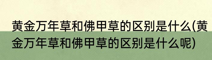 黄金万年草和佛甲草的区别是什么(黄金万年草和佛甲草的区别是什么呢)