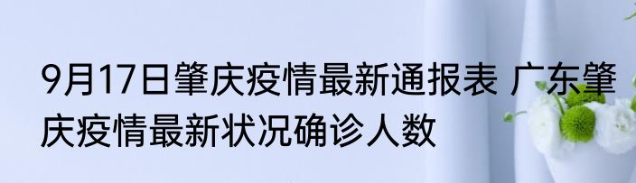 9月17日肇庆疫情最新通报表 广东肇庆疫情最新状况确诊人数