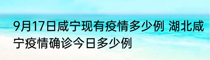 9月17日咸宁现有疫情多少例 湖北咸宁疫情确诊今日多少例