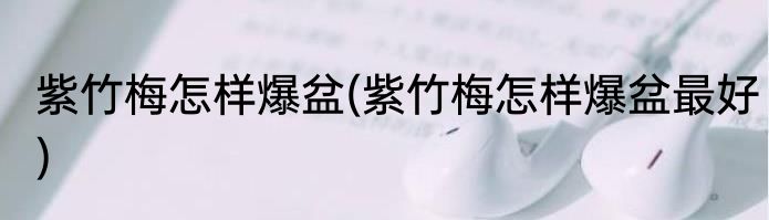 紫竹梅怎样爆盆(紫竹梅怎样爆盆最好)