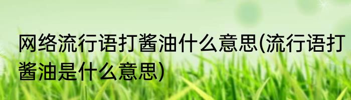 网络流行语打酱油什么意思(流行语打酱油是什么意思)