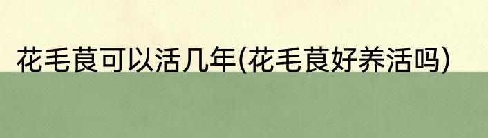 花毛茛可以活几年(花毛茛好养活吗)