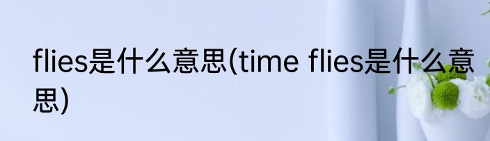 flies是什么意思(time flies是什么意思)