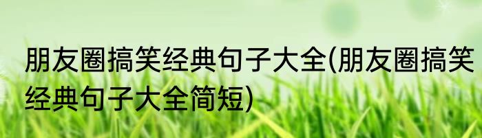 朋友圈搞笑经典句子大全(朋友圈搞笑经典句子大全简短)