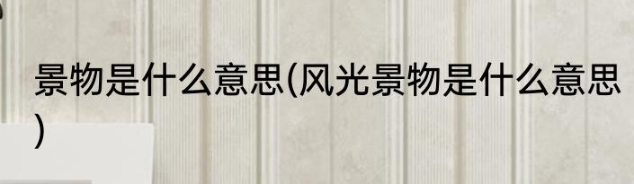 景物是什么意思(风光景物是什么意思)