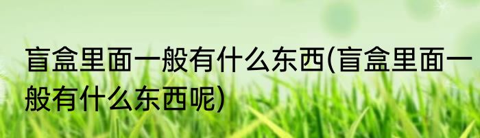 盲盒里面一般有什么东西(盲盒里面一般有什么东西呢)