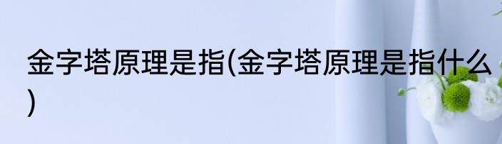 金字塔原理是指(金字塔原理是指什么)