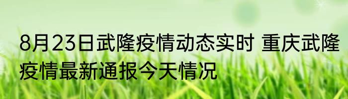 8月23日武隆疫情动态实时 重庆武隆疫情最新通报今天情况