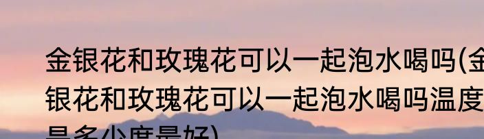 金银花和玫瑰花可以一起泡水喝吗(金银花和玫瑰花可以一起泡水喝吗温度是多少度最好)