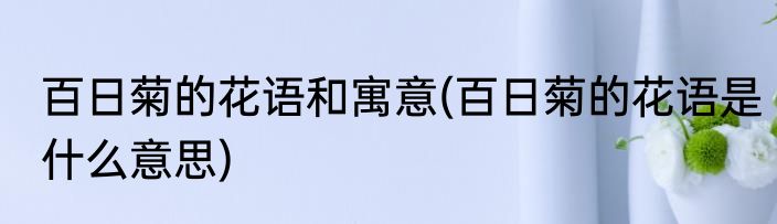 百日菊的花语和寓意(百日菊的花语是什么意思)