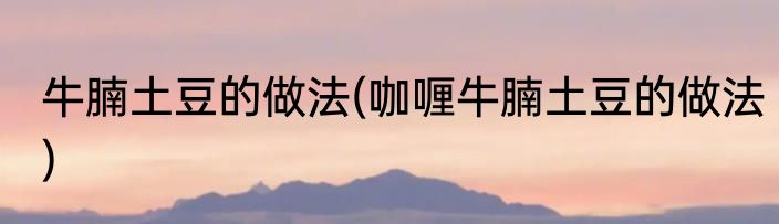 牛腩土豆的做法(咖喱牛腩土豆的做法)