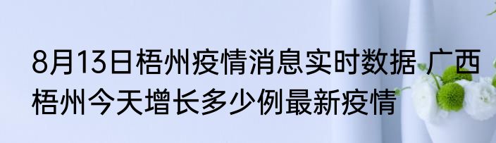 灭火器灭火的最佳位置火焰哪个位置(灭火器的最佳位置是哪里)