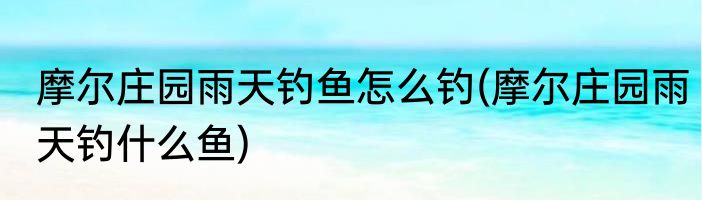 摩尔庄园雨天钓鱼怎么钓(摩尔庄园雨天钓什么鱼)